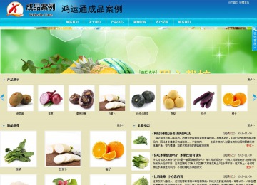 商務型成品案例站No:8784