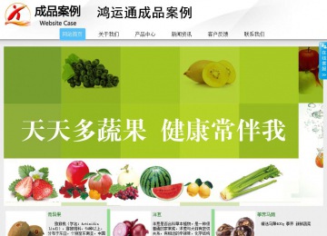 商務型成品案例站No:8808