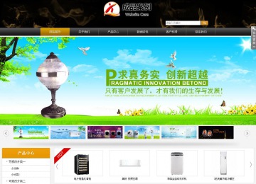 商務型成品案例站No:8829