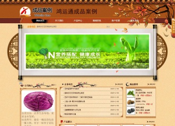 商務(wù)型成品案例站No:8863